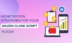 Monetization Strategies for Your WazirX Clone Script in 2024
