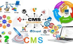 "Empowering Businesses with CMS Website Development"