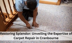 Restoring Splendor: Unveiling the Expertise of Carpet Repair in Cranbourne
