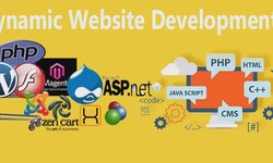 "Unleashing the Power of Dynamic Website Development"