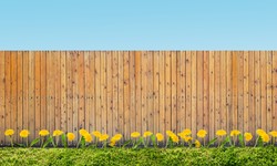 Embracing Excellence: The Benefits of Vinyl Fencing in Hamilton