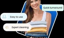 Navigating the Pinnacle of Garment Care with the Best Dry Cleaning and Laundry Service