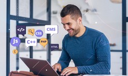 Web App and Custom Software Development Services in Lahore