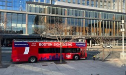Best Sightseeing Tour in Boston: Exploring the Heart of New England