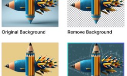 Background Remover: Unveiling the Magic of Clean Visuals
