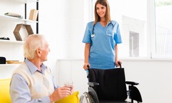 The Role of Home Caregiver Services with Appointments Assistance