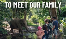 best Elephant Sanctuary Tour