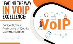 The Amazing Benefits Of Voip Providers In Bangalore That Will Really Surprise You
