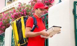Understanding Parcels Delivery Services in the UAE
