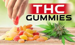 Exploring the Pinnacle of Pleasure: The Best THC Gummies of 2024