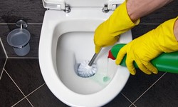 A Step-By-Step Guide To Remove Hard Water Stains In A Toilet