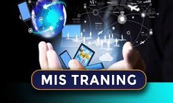 MIS Training Course in Noida