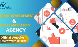 Best Website Development and Digital Marketing Company in Lucknow – Wismad