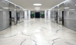 Commercial Tiler Essex: Enhancing Your Business Space with Professional Tiling Services