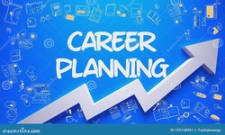 Career Plan for Marketing Sphere
