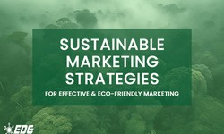 10 Game-Changing Sustainable Marketing Strategies For The Digital Age