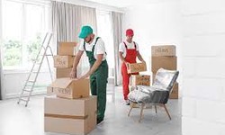 Essential Things You Should Know Before Moving
