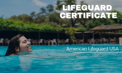 Lifeguard Certificates: Unlocking the Secrets of Professionalism