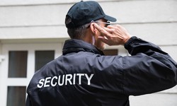 Alpha Group Services LLC-Elevating Security Standards Across New York