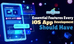 Essential Features Every iOS App Development Should Have