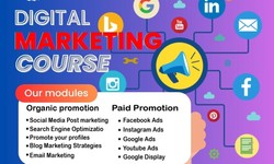 Digital Marketing Training Institute Janakpuri