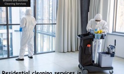 Residential Cleaning Services in Norfolk, VA: Elevating Home Hygiene