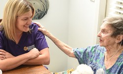 Caring Closer to Home: Navigating the Landscape of Home Care in North Carolina