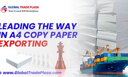 Leading the Way in A4 Copy Paper Exporting: Solutions That Grow Your Business