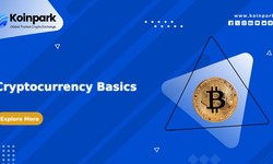 Cryptocurrency Basics in Simple Terms