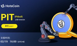 Pitbull (PIT): Cryptocurrency investment research report for holding and earning interest