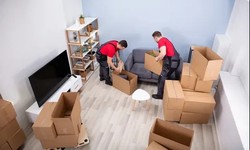 Effortless Relocation: The Trusted Choice of Professional Movers and Packers in Dubai