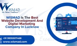 Best Web development company in Lucknow | Wismad