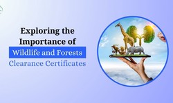 Exploring the Importance of Wildlife and Forests Clearance Certificate