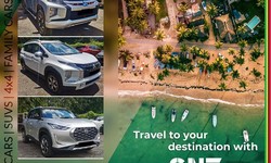 Where Can You Find Car Rental Services for Transfer Around Mauritius Island ?