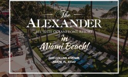 Breathtaking Views: Oceanfront Splendor at The Alexander Hotel