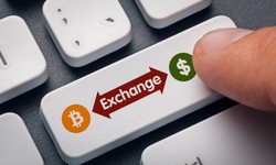 How to Utilize the Expertise of a Cryptocurrency Exchange Development Provider?