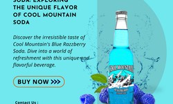 Crafting Refreshment: Exploring the World of Handcrafted Sodas with Cool Mountain