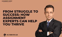 From Struggle to Success: How Assignment Experts Can Help You Thrive