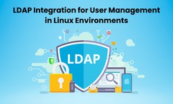 LDAP Integration for User Management in Linux Environments