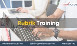 What is the function of Rubrik?