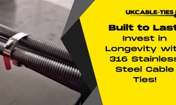 Built to Last: Invest in Longevity with 316 Stainless Steel Cable Ties!