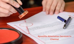 Simplifying Document Authentication: The Role of Apostille Attestation Services in Chennai