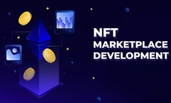 Navigating the NFT Frontier: A Comprehensive Guide to Developing and Thriving in the World of NFT Marketplaces