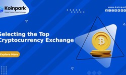 Selecting the Top Cryptocurrency Exchange in India