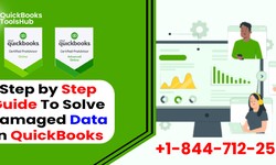 How To Fix Data Damage On Your QuickBooks Desktop Company File