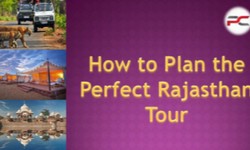 Unlocking the Essence of Rajasthan: A Guide to the Perfect Tour by Rented Car