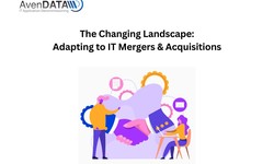 The Changing Landscape: Adapting to IT Mergers & Acquisitions