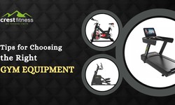 Tips for Choosing the Right Gym Equipment