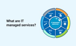 Unlocking Business Potential with Managed IT Services