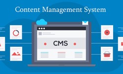 "Empower Your Online Presence with CMS Website Development"